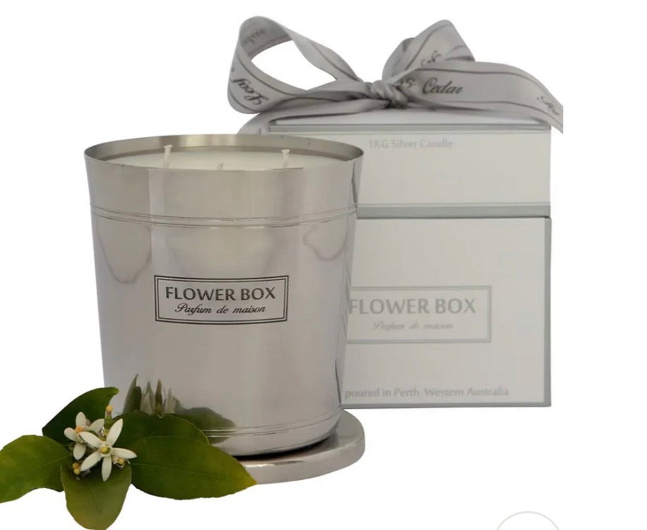 Fig Leaf & Cedar Hallmark Candle 1kg