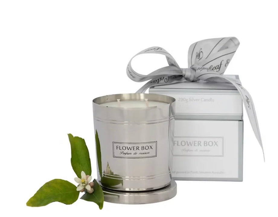 Fig Leaf & Cedar Standard Candle 300g