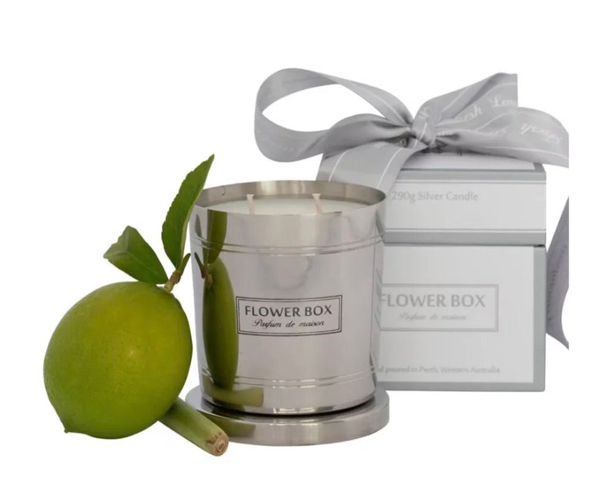 Fresh Lemongrass Standard Candle 300g