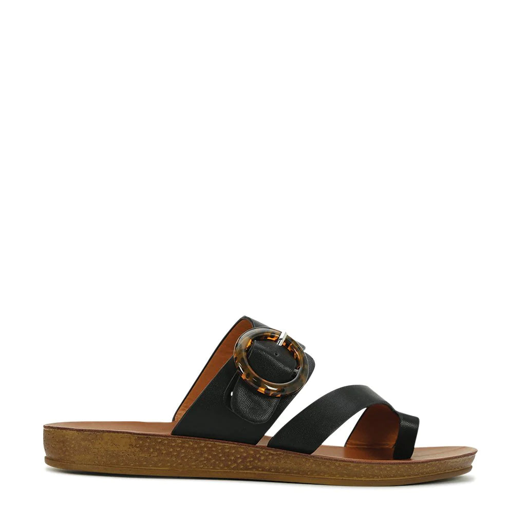 Dotsie Black Shoe