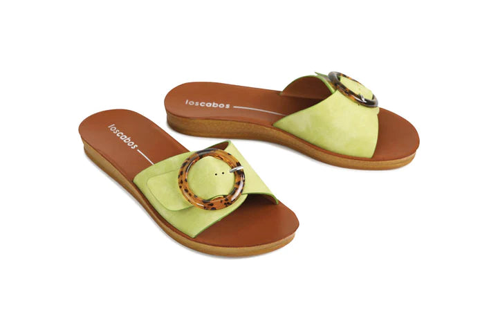 Dos Splice Green Shoe