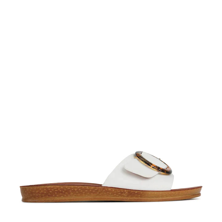 Dos White Shoe