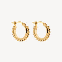 Chia Hoop Gold Earrings