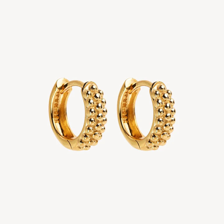 Chia Gold Huggie Earrings