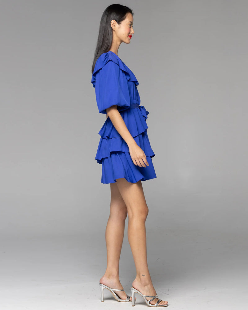 Heart & Soul Cobalt Blue Dress