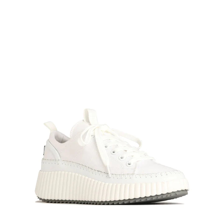 Picasso White Canvas Sneakers