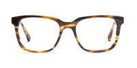 Baxter blue Carter eyewear