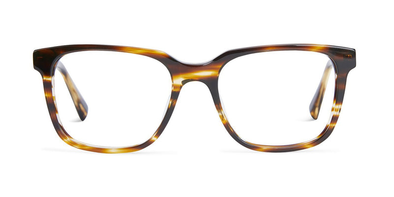 Baxter blue Carter eyewear